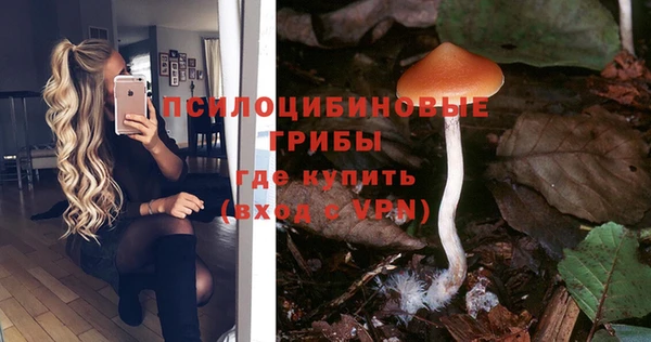 гашиш Новодвинск