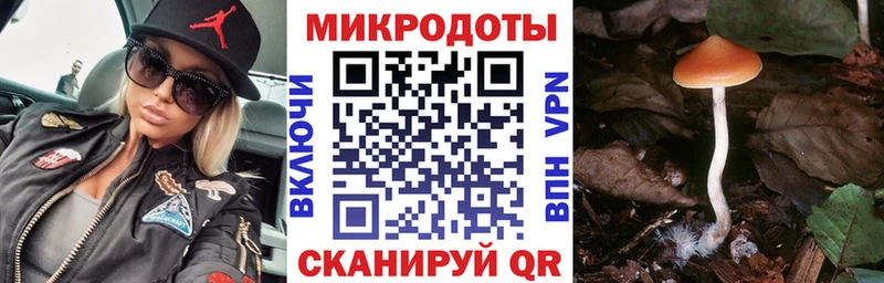 mega tor  Тула  Псилоцибиновые грибы прущие грибы 