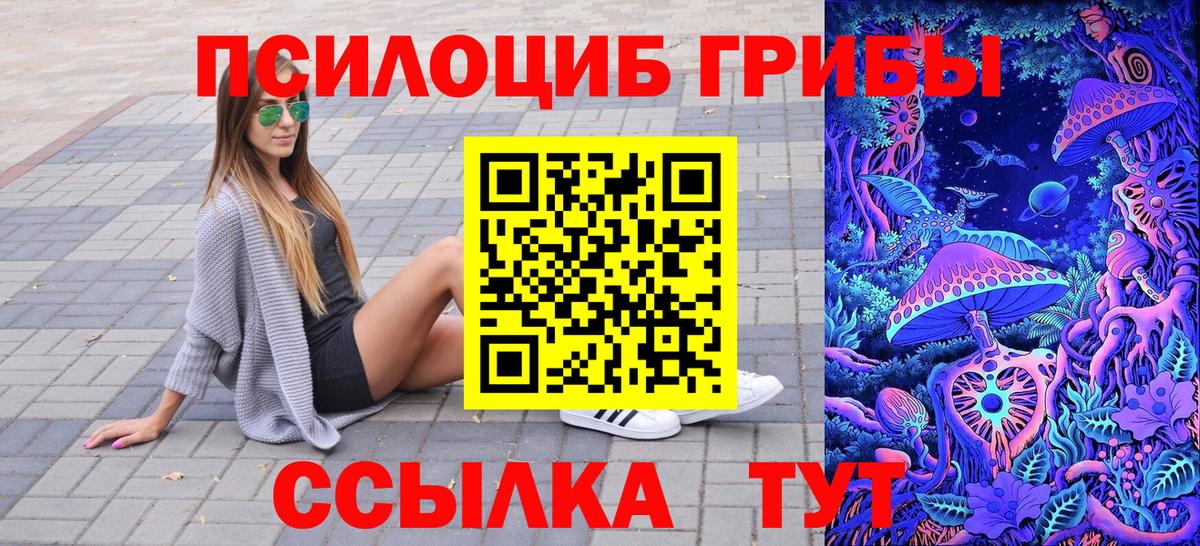 Тула  Псилоцибиновые грибы Cubensis  Вход с VPN  Галлюциногенные грибы мицелий 