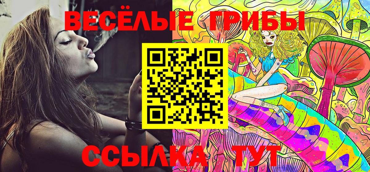 Галлюциногенные грибы MAGIC MUSHROOMS Тула