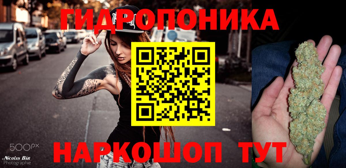 Конопля сатива Тула